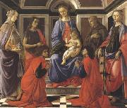 Sandro Botticelli Madonna enthroned with Child and Saints (Mary Magdalene,John the Baptist,Cosmas and Damien,Sts Francis and Catherine of Alexandria) china oil painting artist